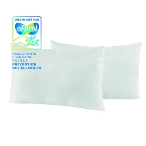 OreillerAcastopcRectangel